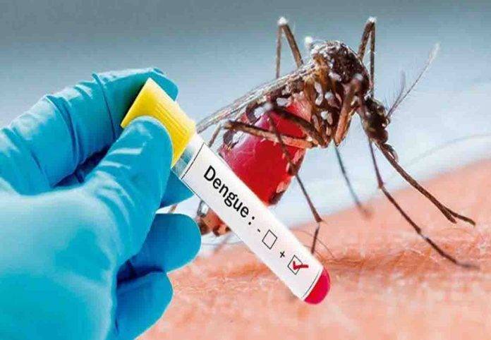 Uttar Pradesh Dengue Alert