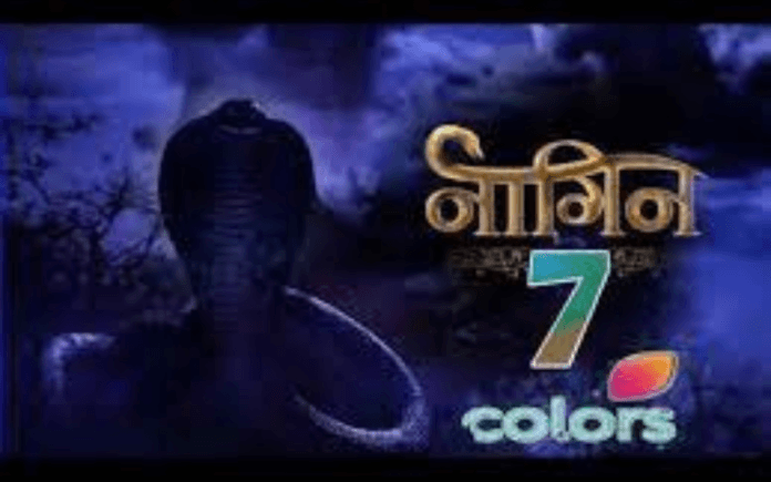 Naagin 7: This star of TV will become the new serpent of Naagin 7